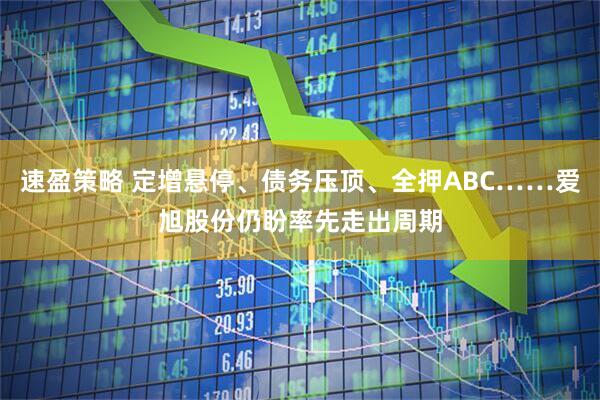 速盈策略 定增悬停、债务压顶、全押ABC……爱旭股份仍盼率先走出周期