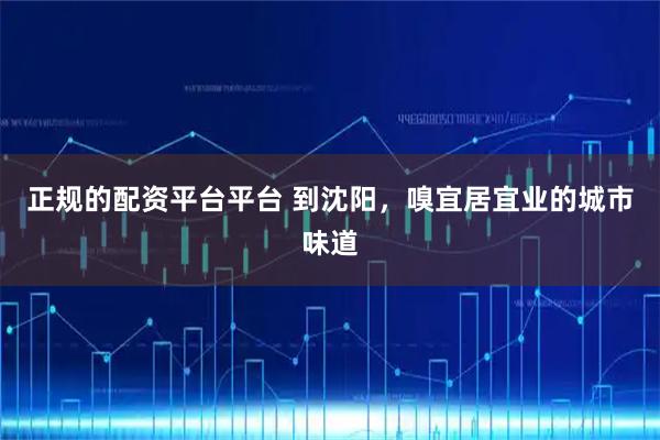 正规的配资平台平台 到沈阳，嗅宜居宜业的城市味道