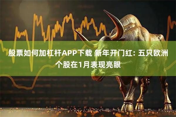股票如何加杠杆APP下载 新年开门红: 五只欧洲个股在1月表现亮眼