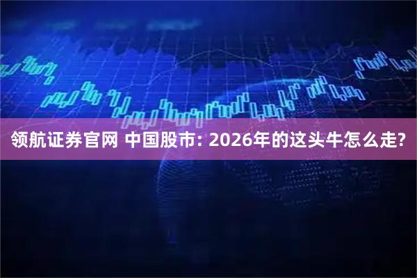 领航证券官网 中国股市: 2026年的这头牛怎么走?