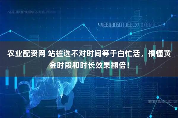 农业配资网 站桩选不对时间等于白忙活，搞懂黄金时段和时长效果翻倍！