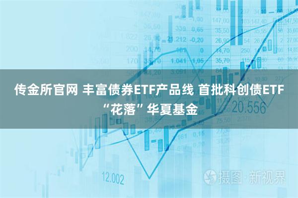 传金所官网 丰富债券ETF产品线 首批科创债ETF“花落”华夏基金