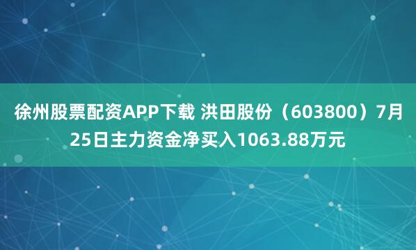 徐州股票配资APP下载 洪田股份（603800）7月25日主力资金净买入1063.88万元
