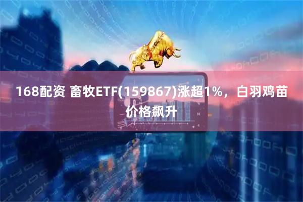 168配资 畜牧ETF(159867)涨超1%，白羽鸡苗价格飙升